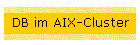 DB im AIX-Cluster